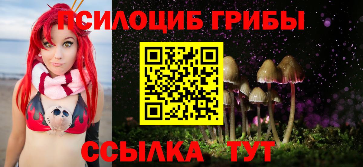 Галлюциногенные грибы прущие грибы  Галлюциногенные грибы ЛСД  Химки  Вход с VPN 